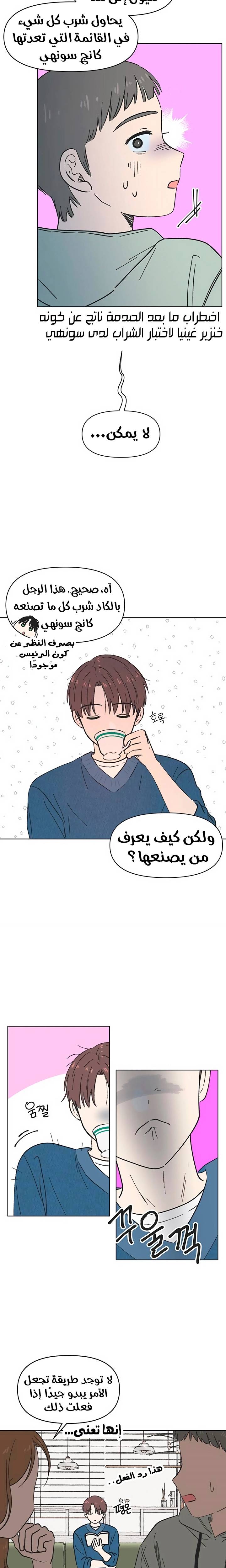 الصفحة 12