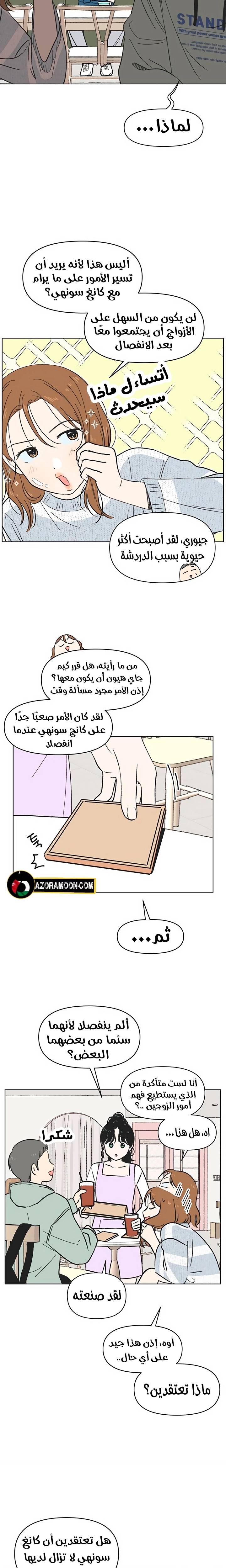 الصفحة 13