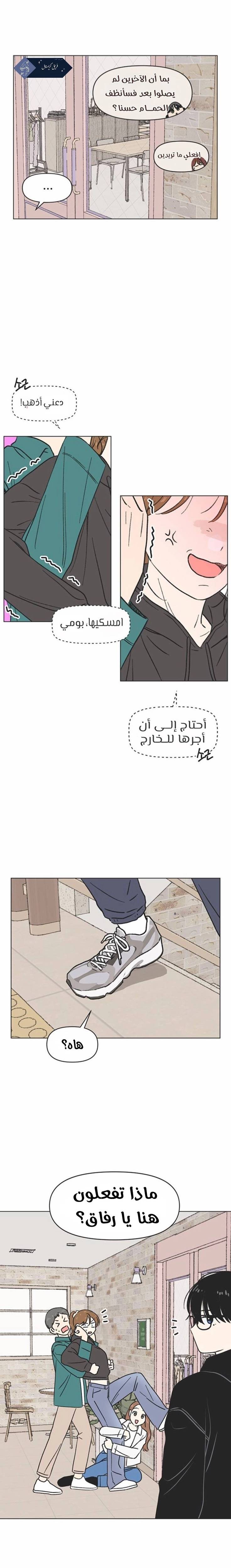 الصفحة 13