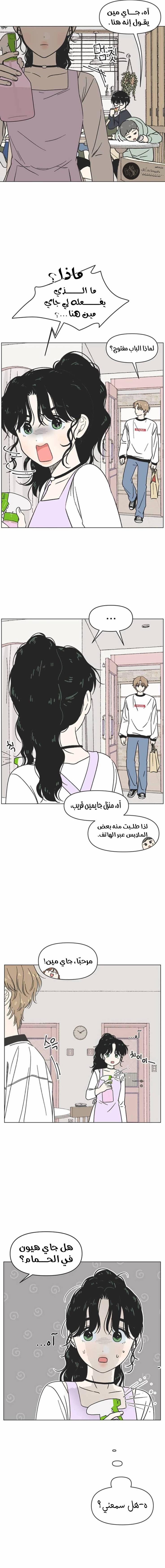 الصفحة 8