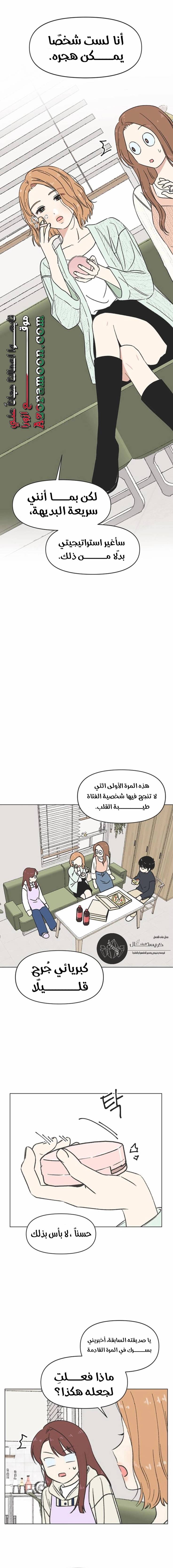 الصفحة 13