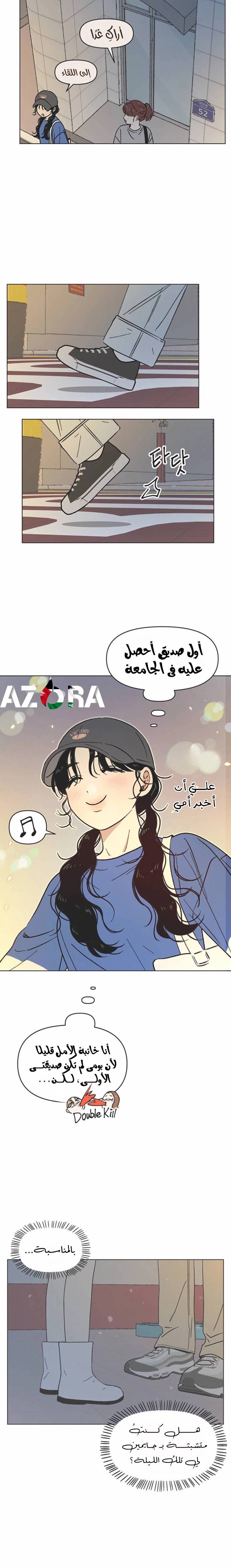 الصفحة 13