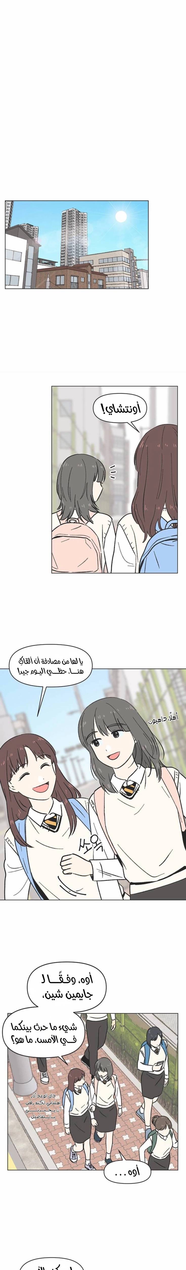 الصفحة 17