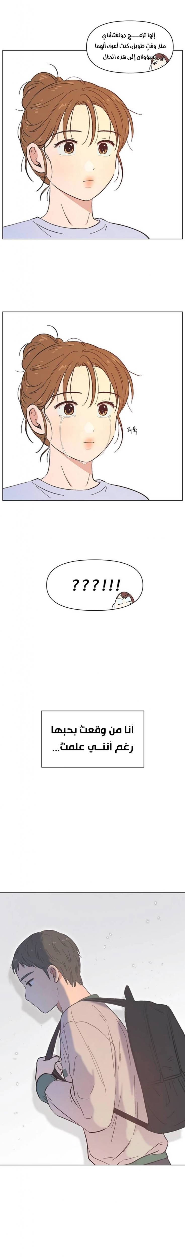 الصفحة 17