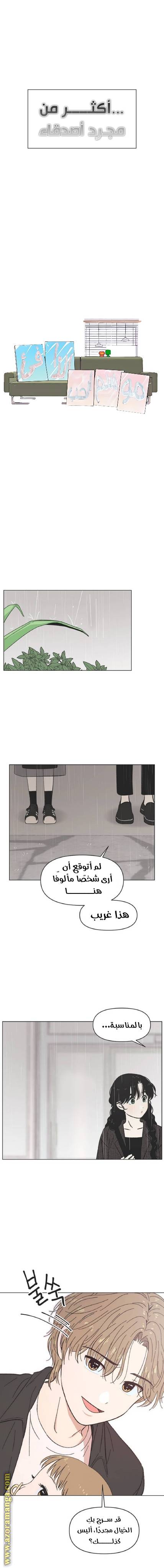 الصفحة 11