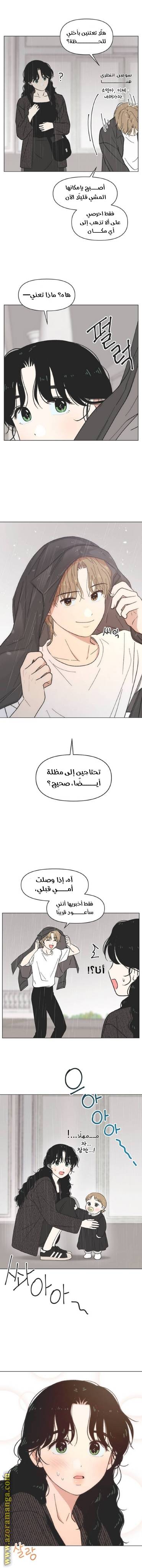 الصفحة 14