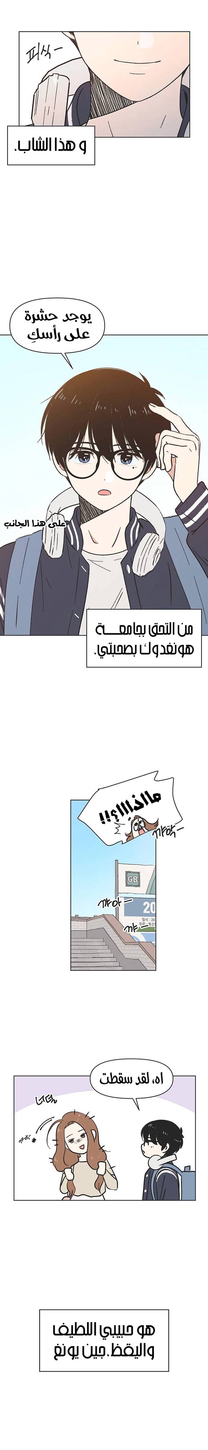 الصفحة 6