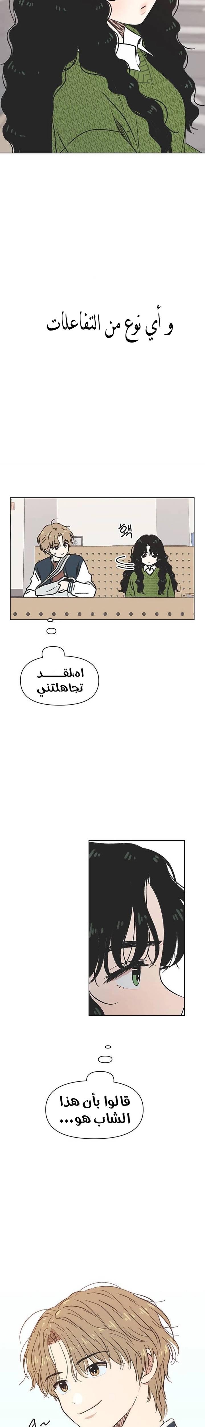 الصفحة 24