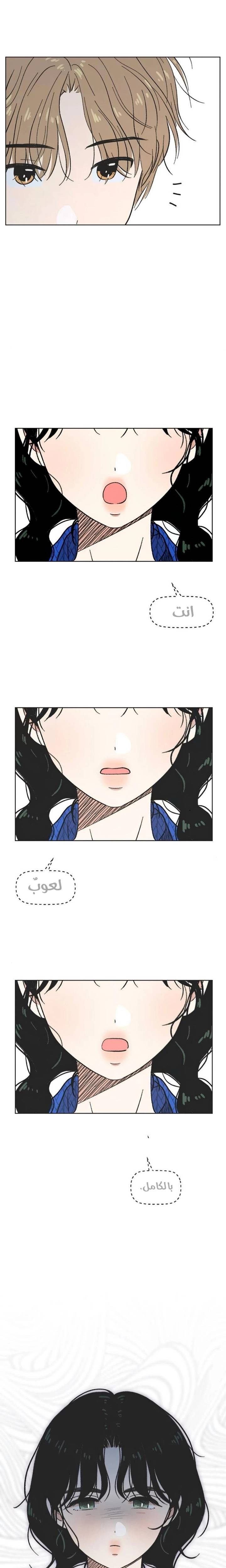 الصفحة 13