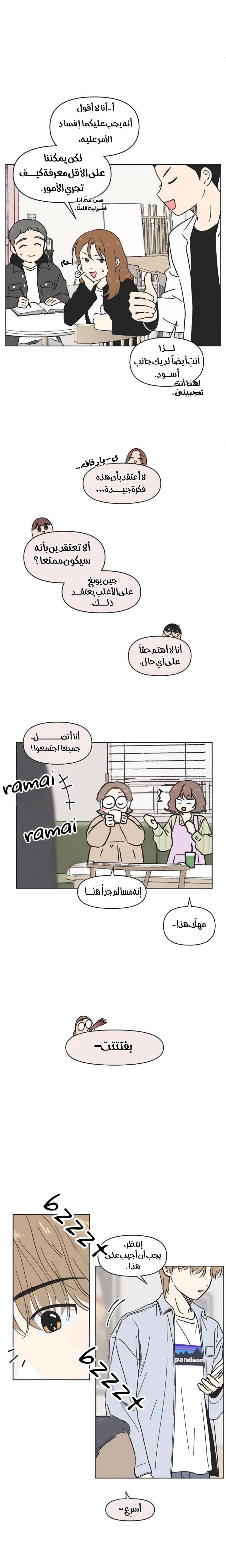 الصفحة 17