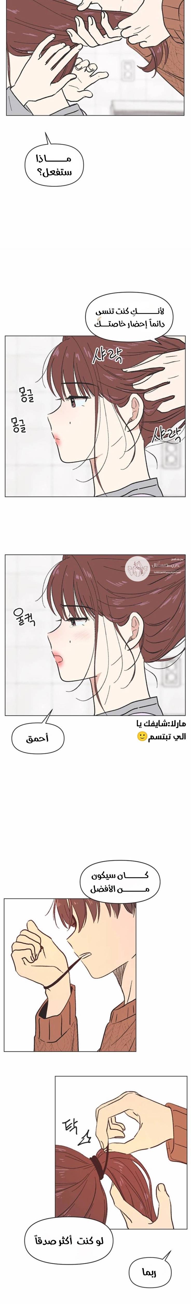 الصفحة 13