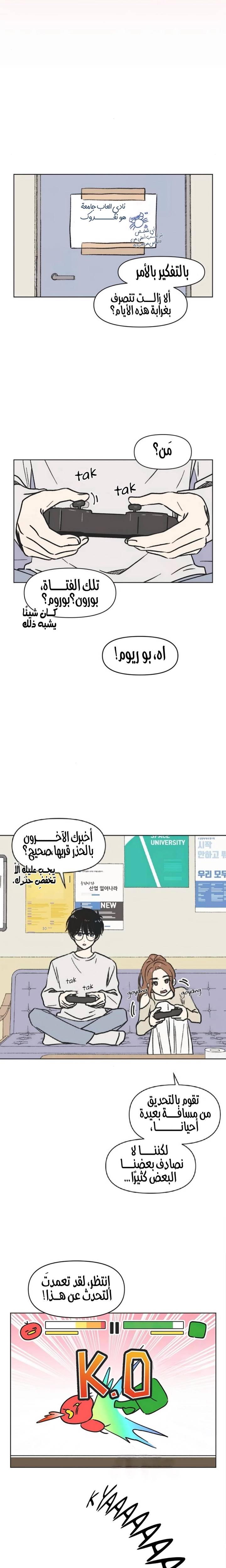 الصفحة 13