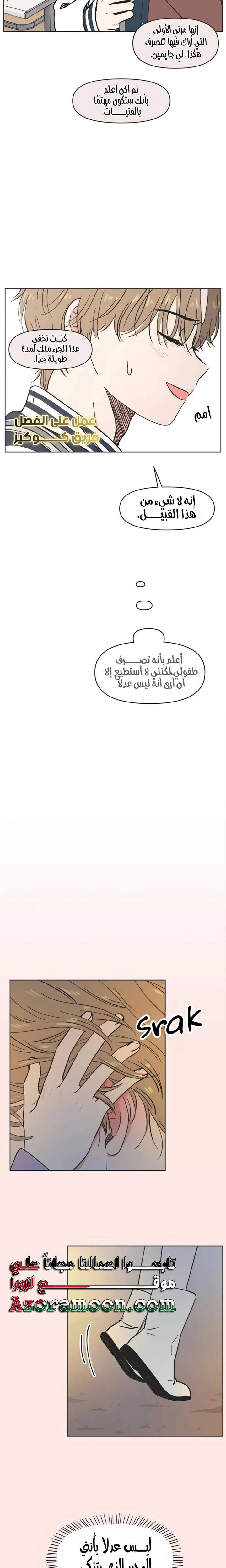 الصفحة 17