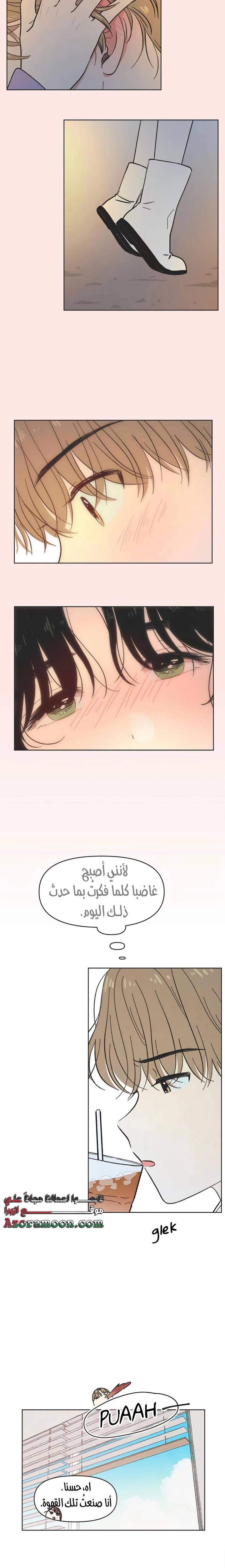 الصفحة 13