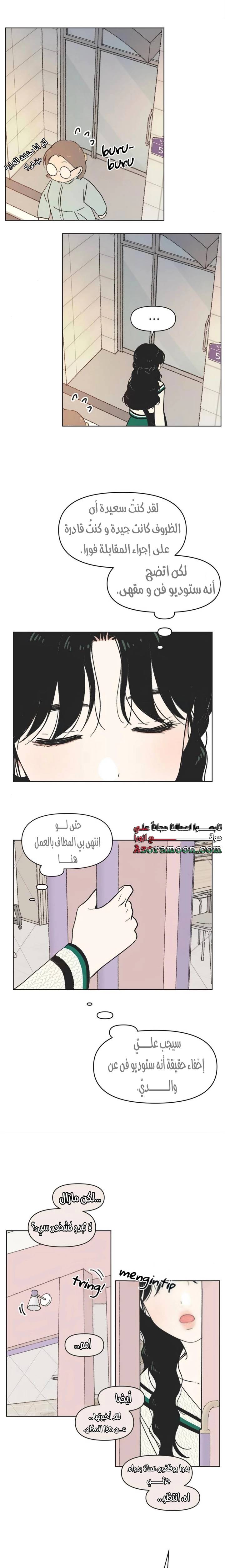 الصفحة 17