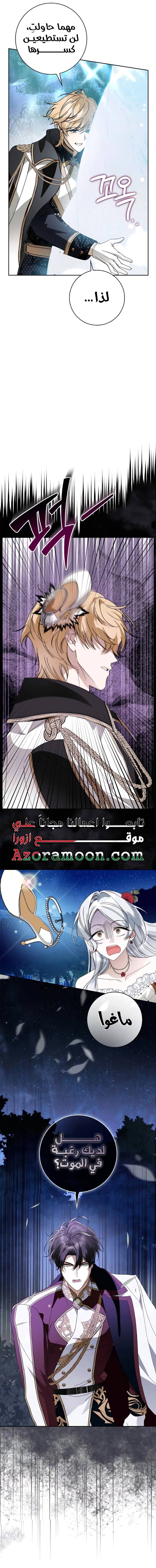 الصفحة 13