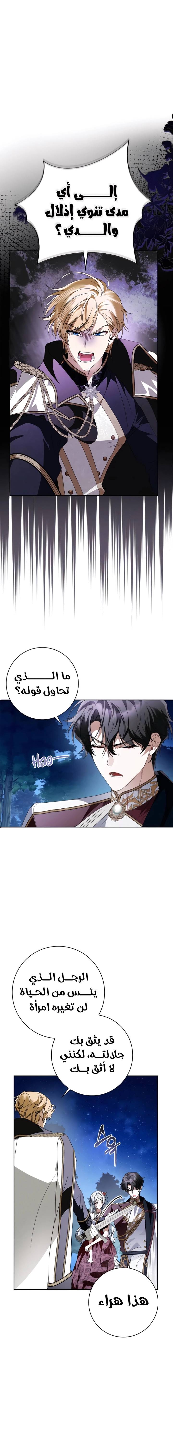 الصفحة 17