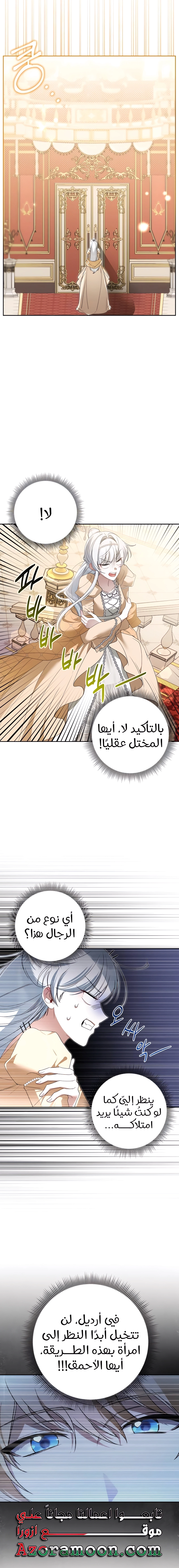 الصفحة 13