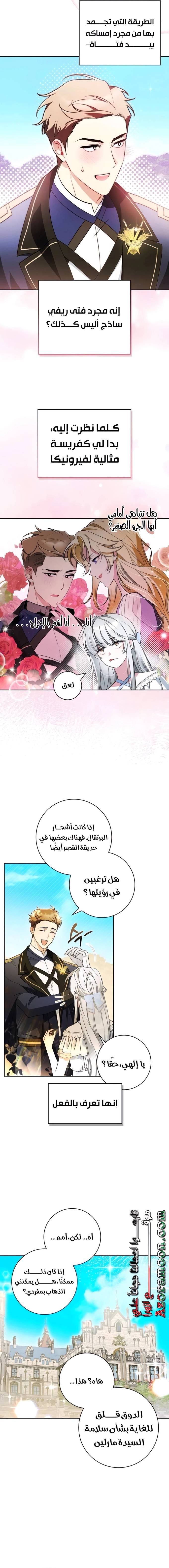 الصفحة 5