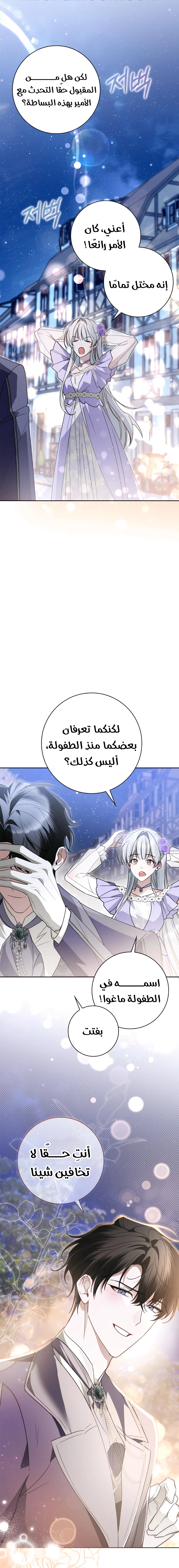 الصفحة 13