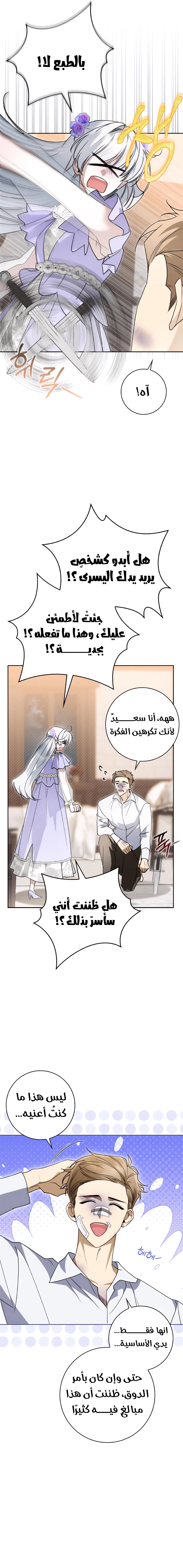 الصفحة 17