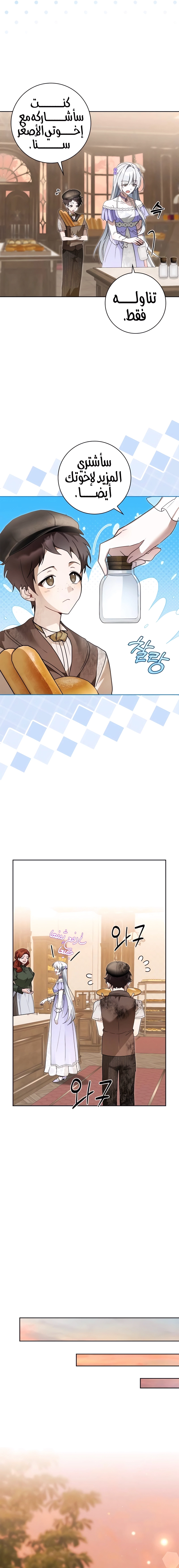 الصفحة 14