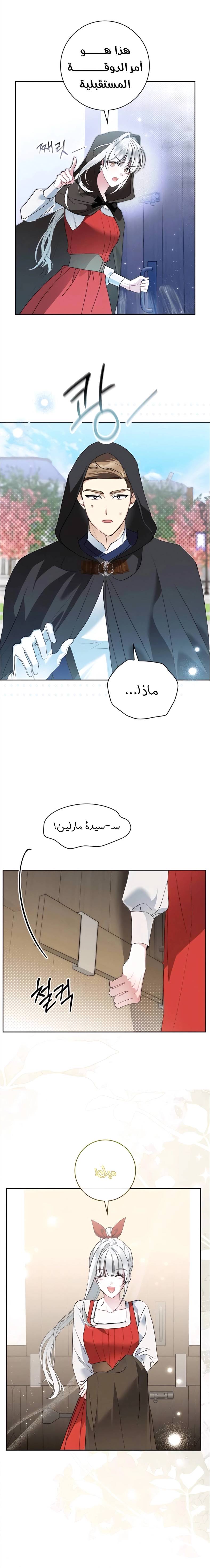 الصفحة 7