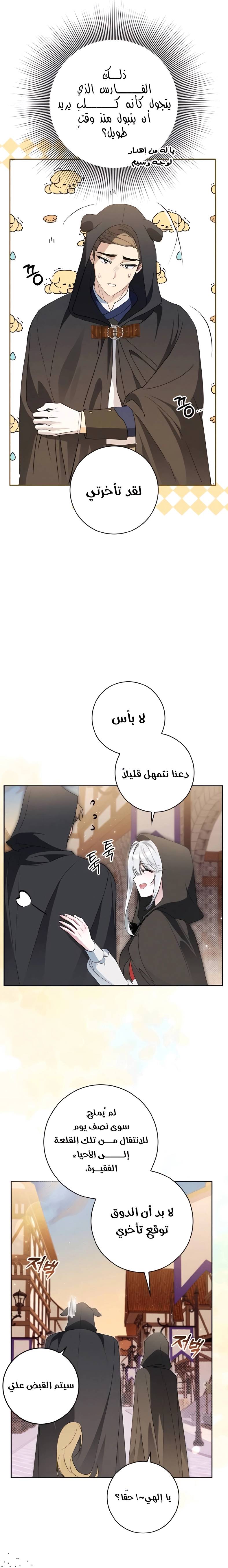 الصفحة 16