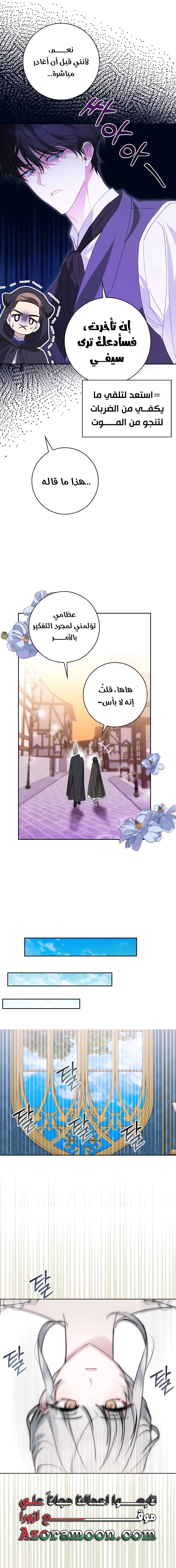 الصفحة 17