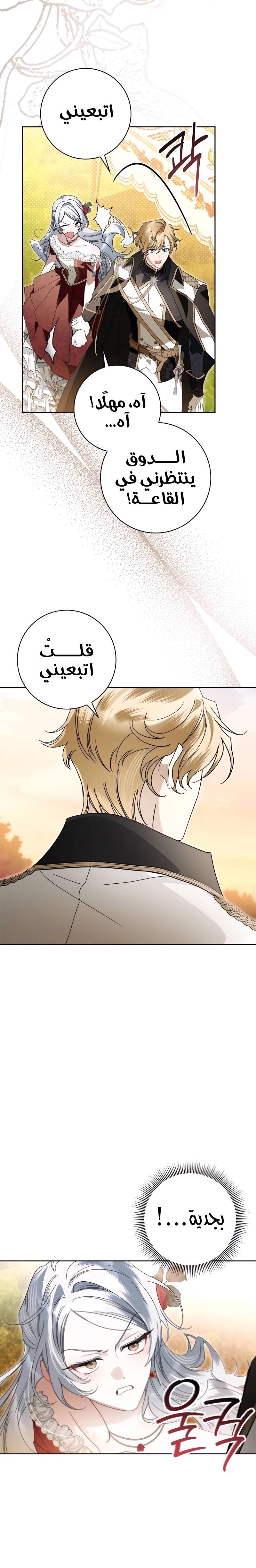 الصفحة 20