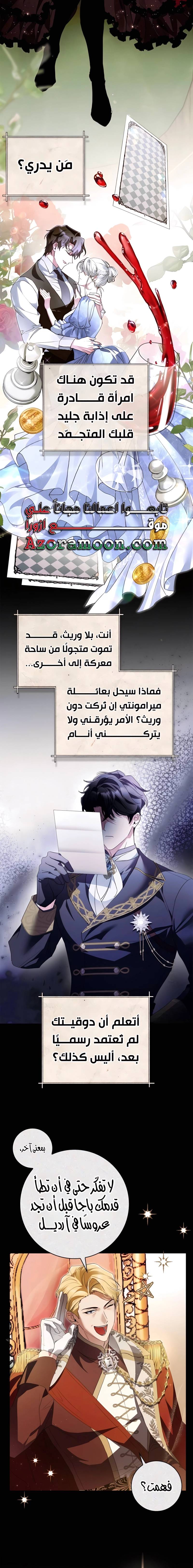 الصفحة 13