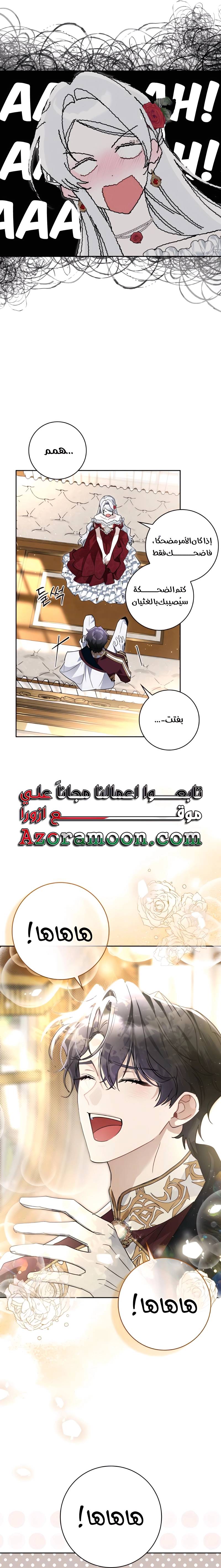 الصفحة 13