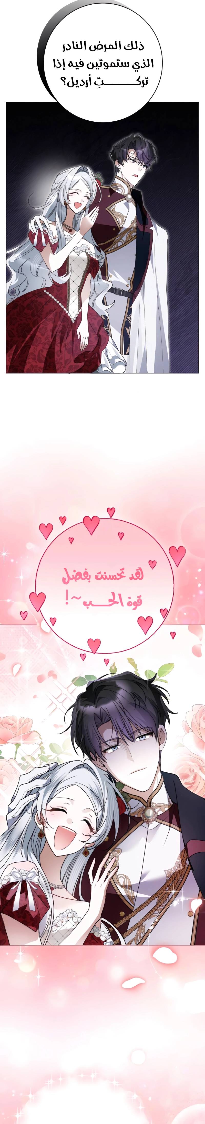 الصفحة 19
