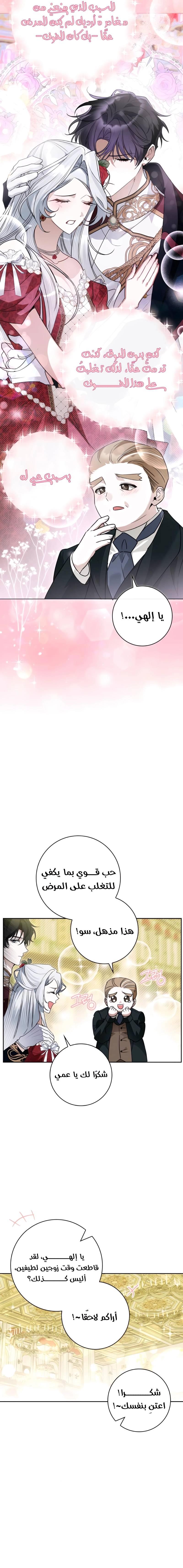 الصفحة 20