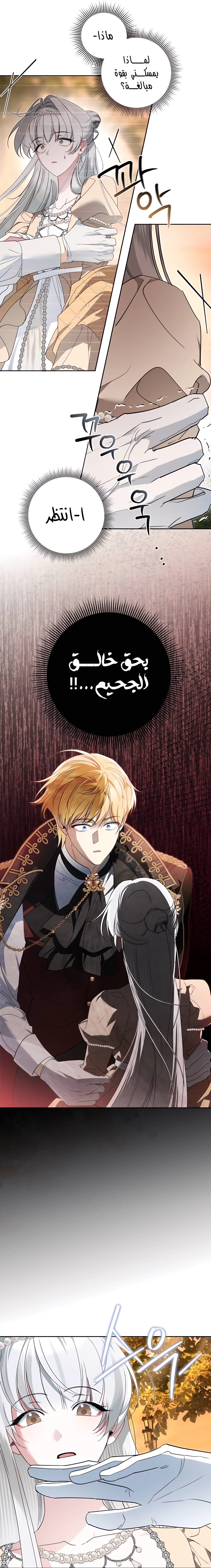 الصفحة 11