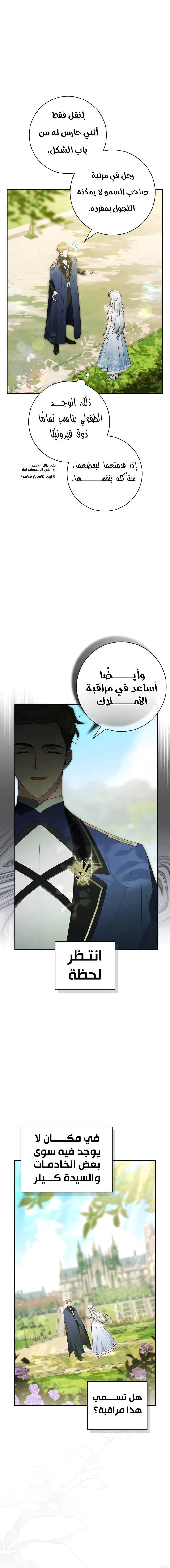 الصفحة 19