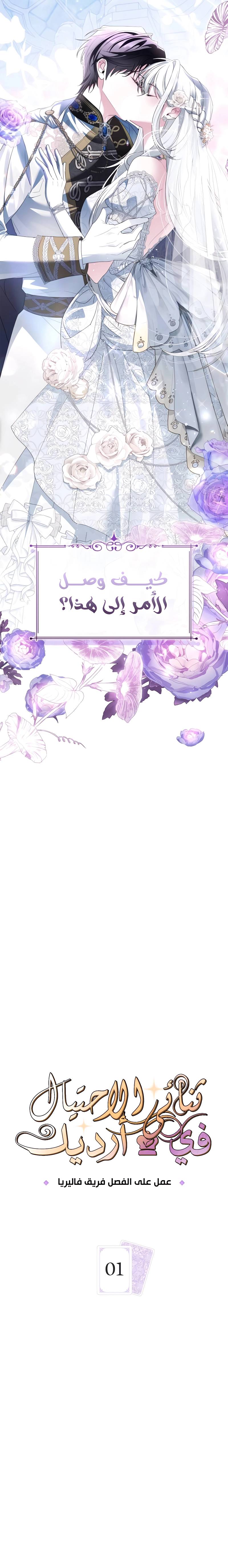 الصفحة 3