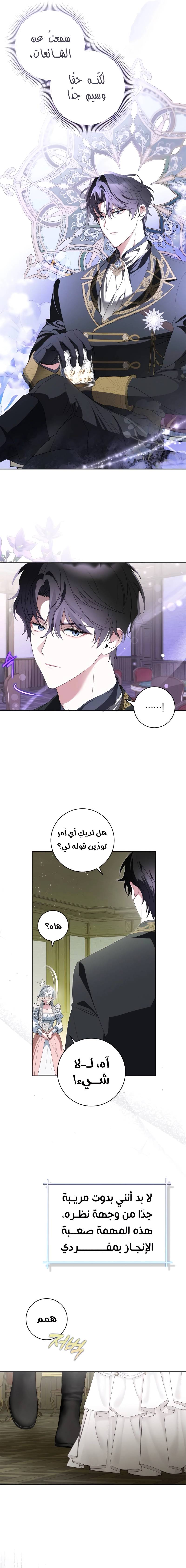 الصفحة 16