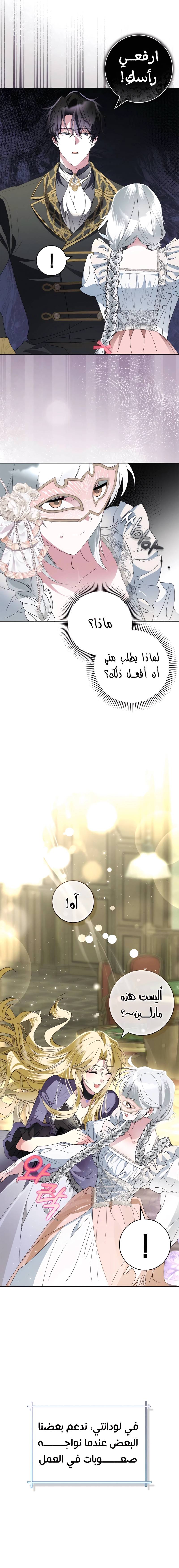 الصفحة 17