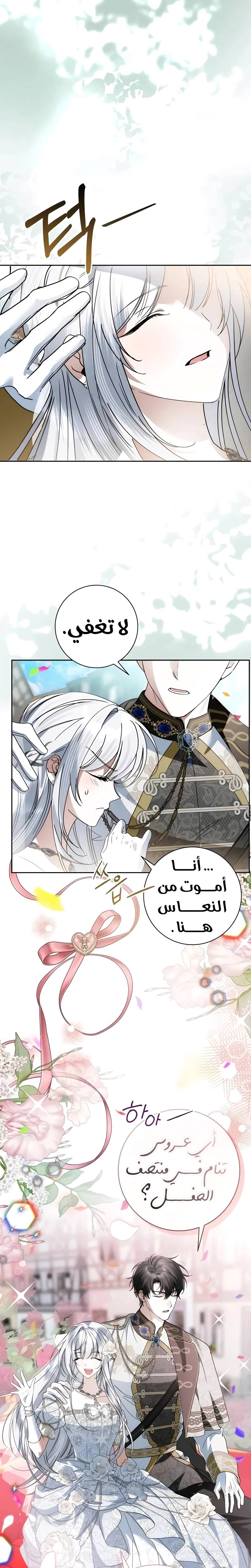 الصفحة 22