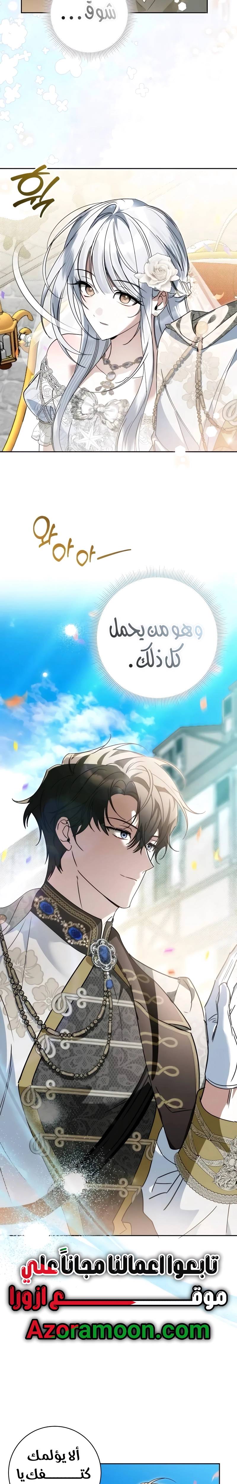 الصفحة 26