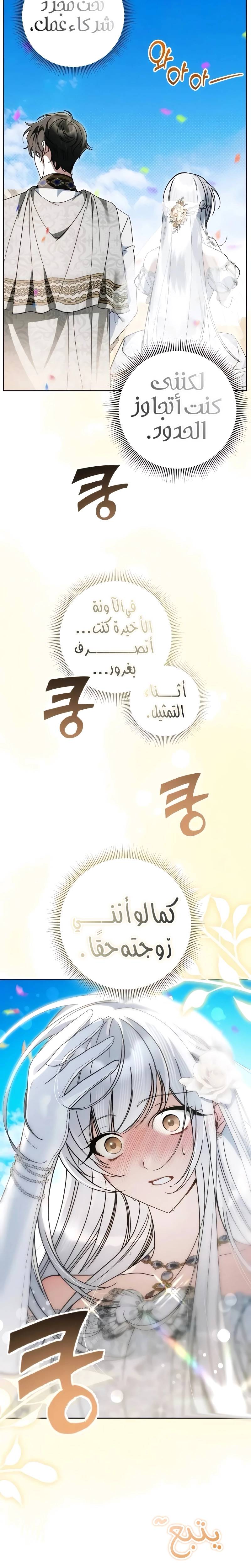 الصفحة 29