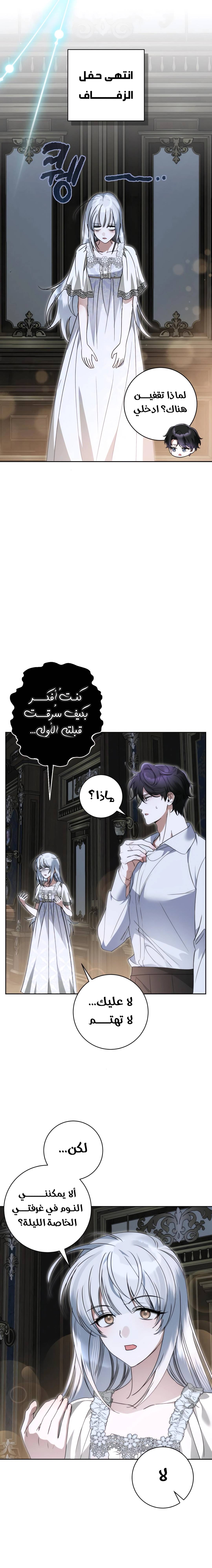 الصفحة 17