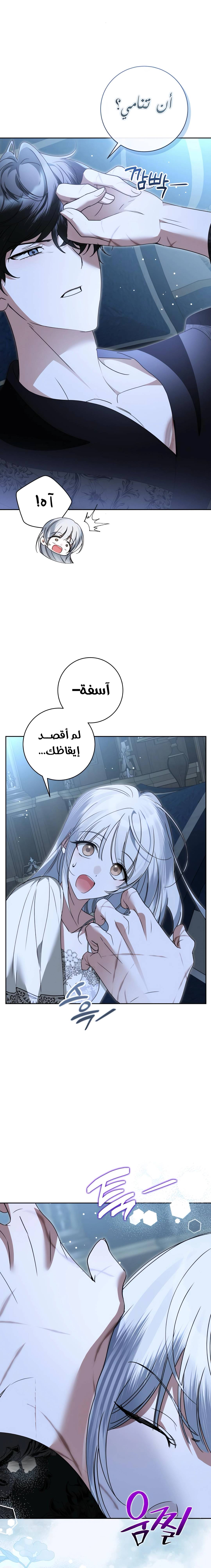 الصفحة 23