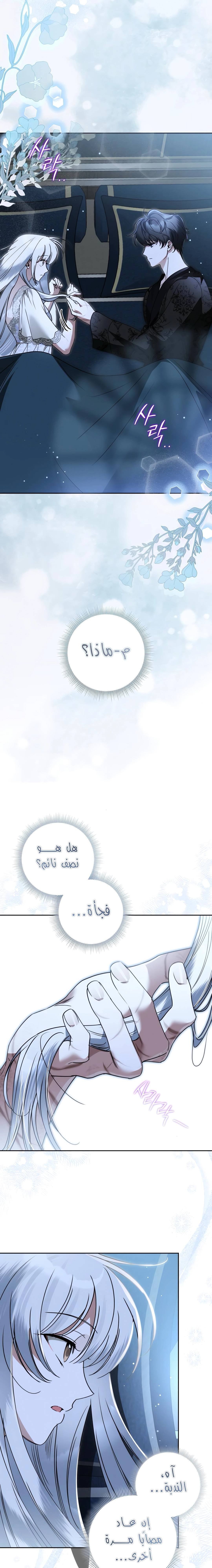 الصفحة 24