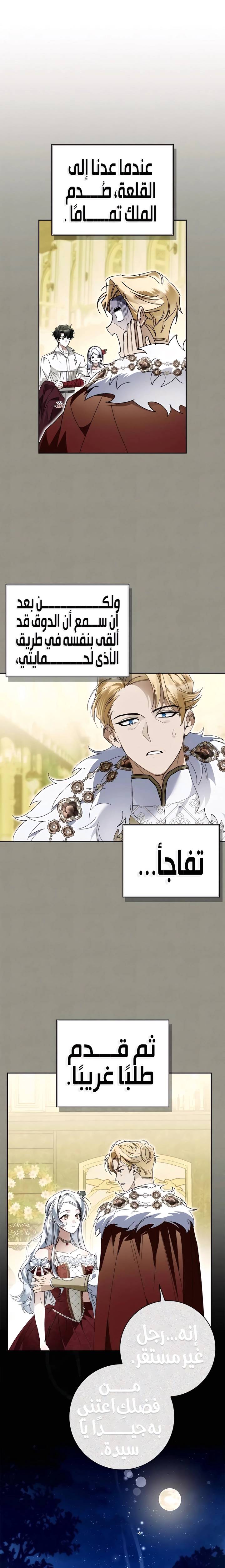الصفحة 17