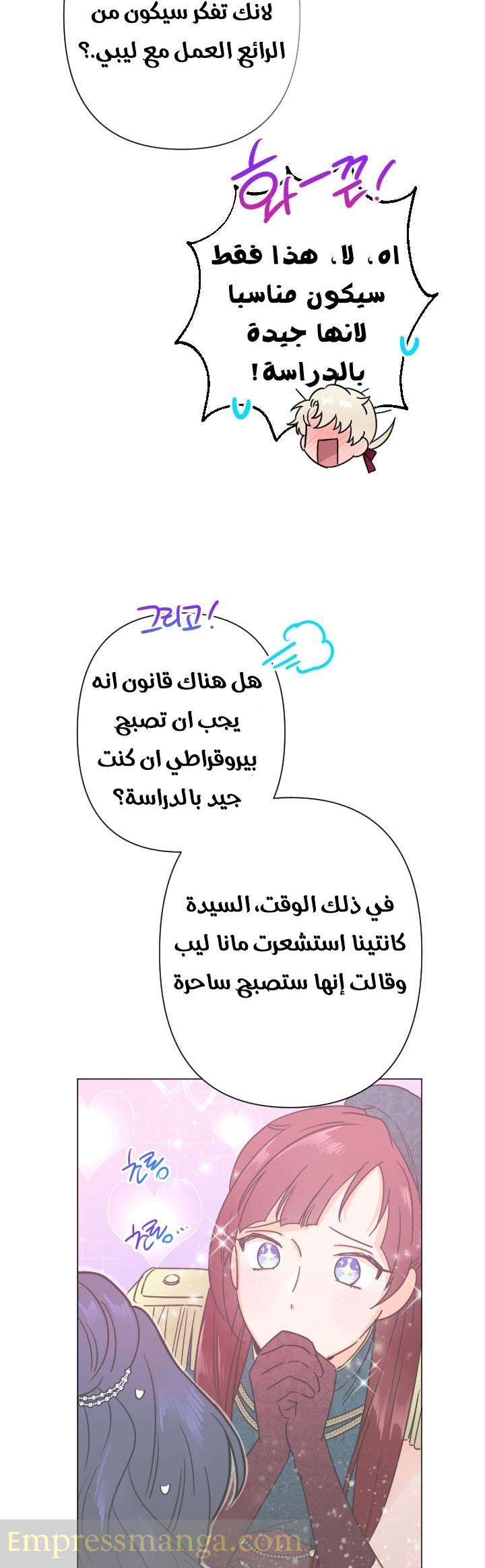 الصفحة 17