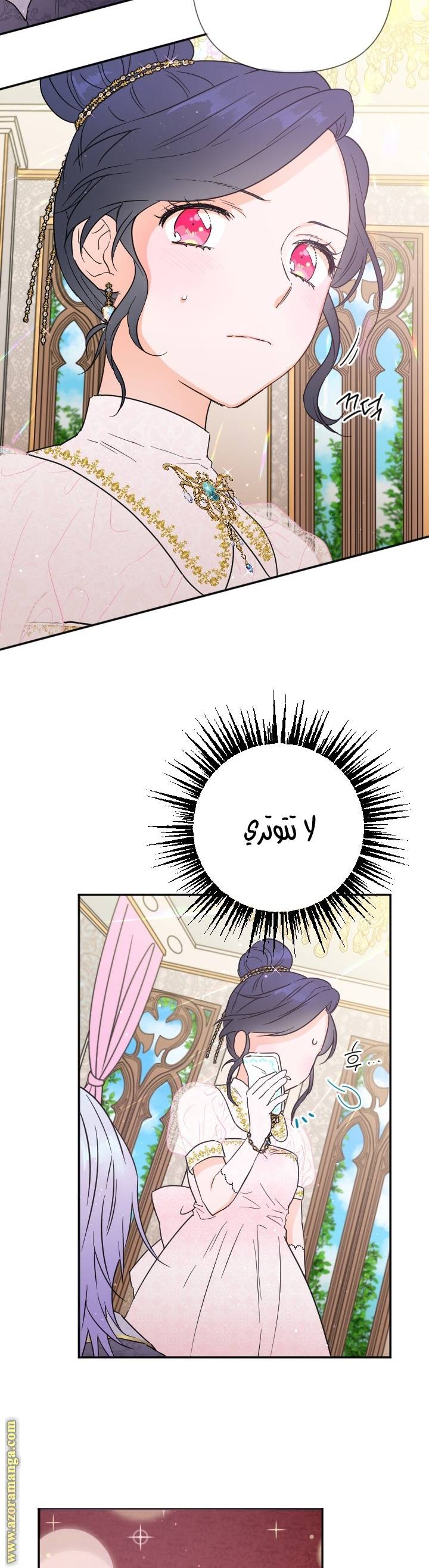 الصفحة 17