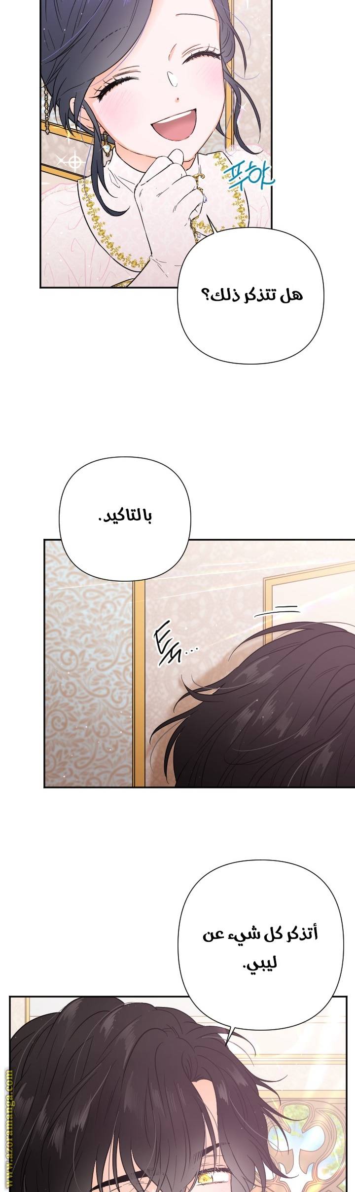 الصفحة 29