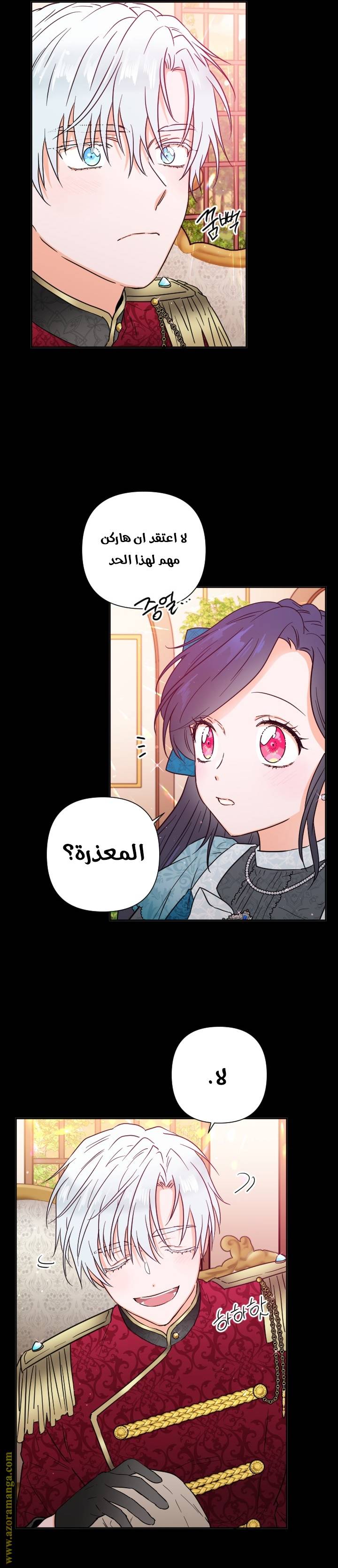 الصفحة 17